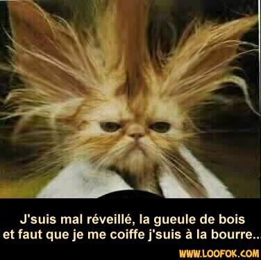 Ronan quand il se r&eacute;veille