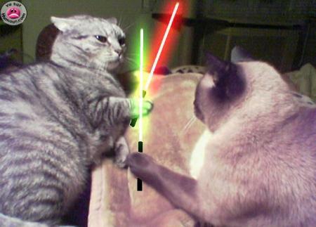 chats start wars