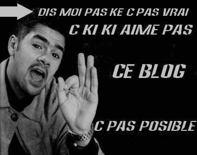 c ki ki aime pas ce blog ?!!!!